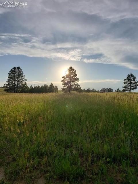 17150 Fairwind Pl, Elbert, CO 80106 photo 2