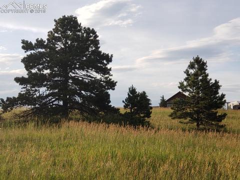 17150 Fairwind Pl, Elbert, CO 80106 photo 6