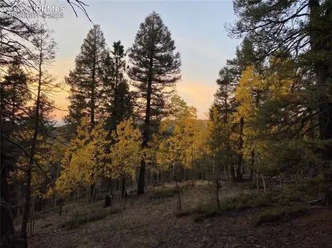 835 Bennett Dr, Cripple Creek, CO 80813
