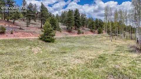 42 Rabbit Cir, Florissant, CO 80816