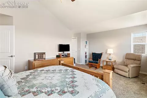 12698 Windingwalk Dr, Peyton, CO 80831 photo 19