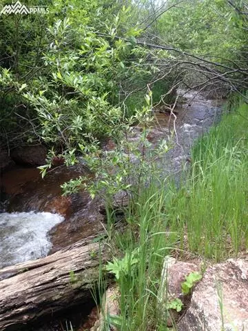 7072 County Road 61 Na Na, Divide, CO 80814 photo 13