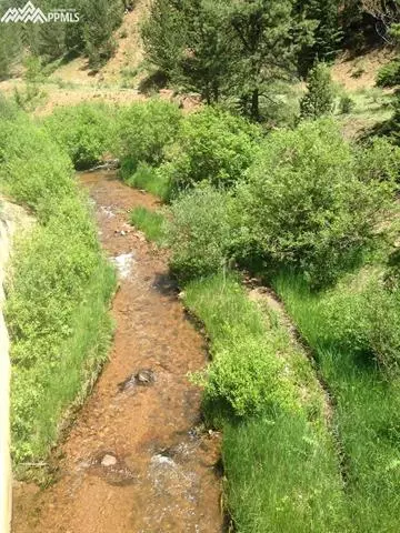 7072 County Road 61 Na Na, Divide, CO 80814 photo 9