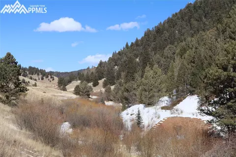 7072 County Road 61 Na Na, Divide, CO 80814 photo 1