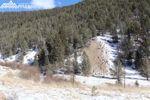 7072 County Road 61 Na Na, Divide, CO 80814 photo 3