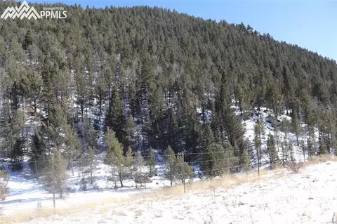 7072 County Road 61 Na Na, Divide, CO 80814 photo 4