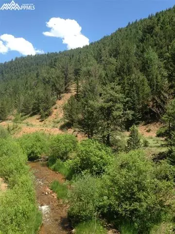 7072 County Road 61 Na Na, Divide, CO 80814 photo 10