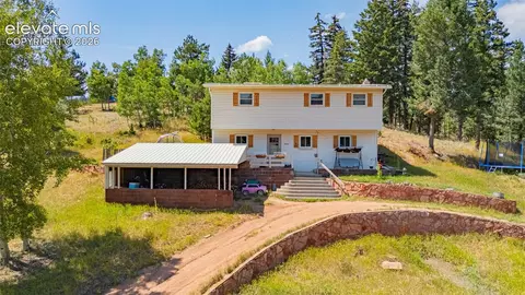 1030 Woodland Ave, Woodland Park, CO 80863
