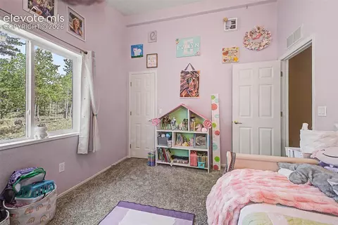 Bedroom - 972 Wampum Ln, Como, CO 80432 photo 7 of 7