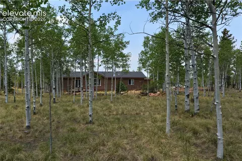 Other - 972 Wampum Ln, Como, CO 80432 photo 4 of 16