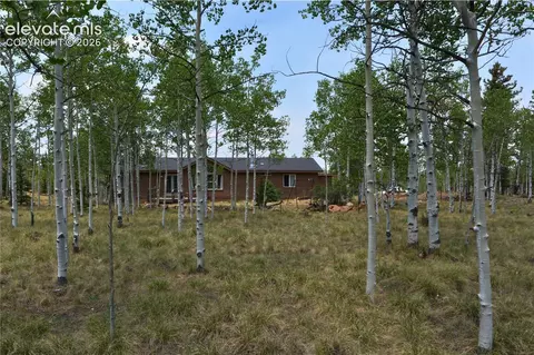 Exterior - 972 Wampum Ln, Como, CO 80432 photo 3 of 6