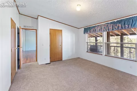 1067 Rangeview Rd, Divide, CO 80814 photo 34