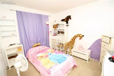 3640 Broken Arrow Dr, Peyton, CO 80831 photo 10