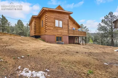 715 W Bison Creek Trl, Florissant, CO 80816