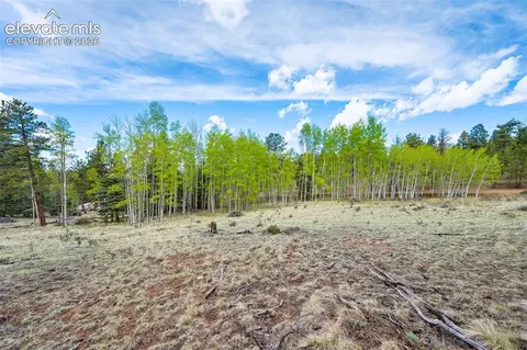 57 Beaver Creek Dr, Lake George, CO 80827