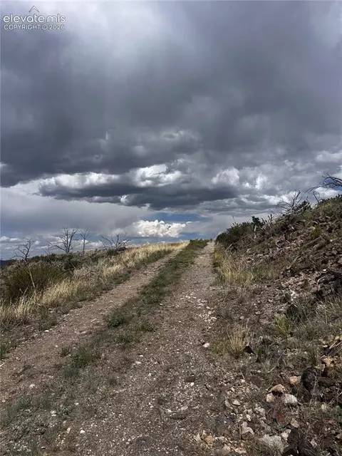 H Path, Cotopaxi, CO 81223 photo 3