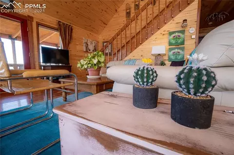 2265 Holmes Rd, Cotopaxi, CO 81223 photo 16