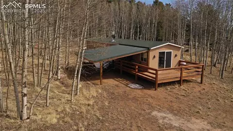 1793 Vagabond Creek Dr, Lake George, CO 80827