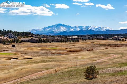 19627 Guildford Ct, Monument, CO 80132 photo 50
