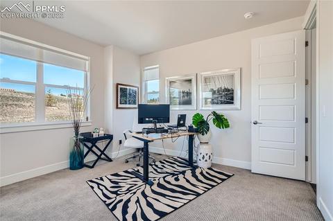 19627 Guildford Ct, Monument, CO 80132 photo 32