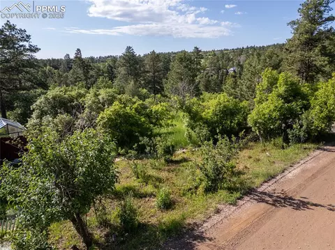 Buena Vista Avenue, Palmer Lake, CO 80133