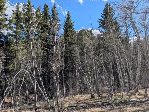 585 Eagle Rock Rd, Florissant, CO 80816