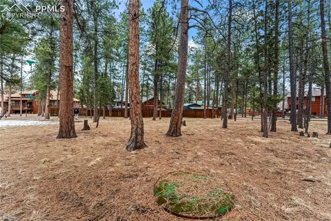 109 Flagstick Dr, Woodland Park, CO 80863