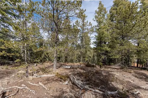 81 Haven Rd, Divide, CO 80814 photo 19