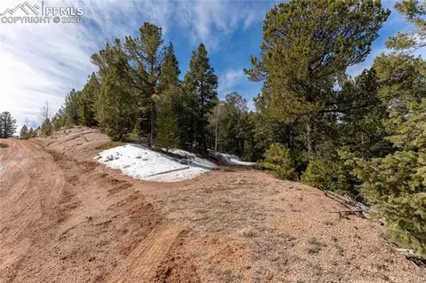 81 Haven Rd, Divide, CO 80814 photo 21