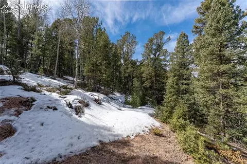 81 Haven Rd, Divide, CO 80814 photo 22