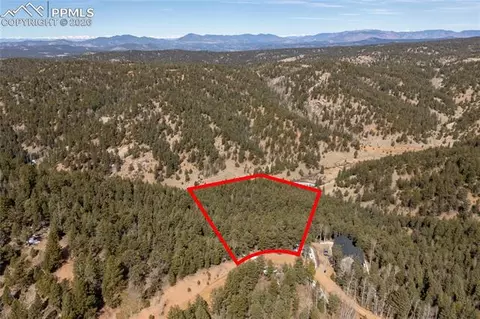 81 Haven Rd, Divide, CO 80814 photo 11