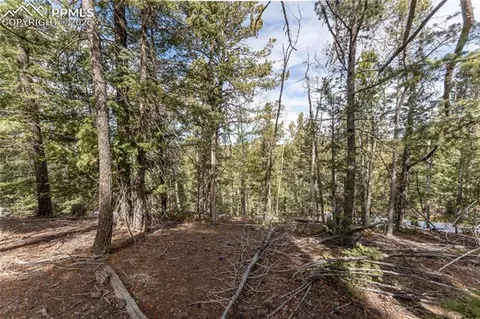 81 Haven Rd, Divide, CO 80814 photo 20