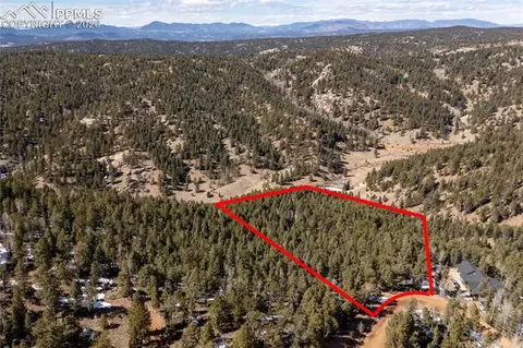 81 Haven Rd, Divide, CO 80814 photo 2