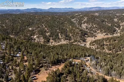 81 Haven Rd, Divide, CO 80814 photo 3