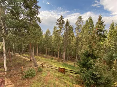 687 Ridge Rd, Divide, CO 80814 photo 39
