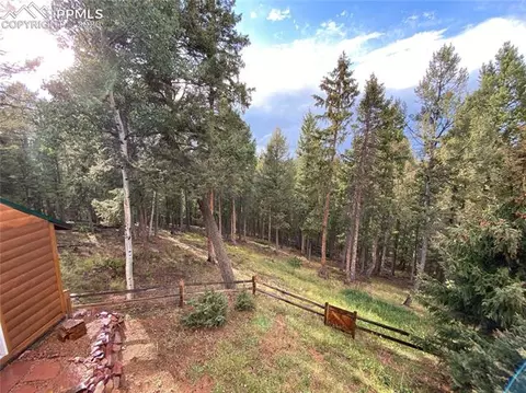 687 Ridge Rd, Divide, CO 80814 photo 37