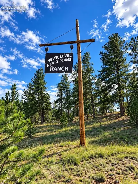 3303 Trail Creek Rd, Florissant, CO 80816