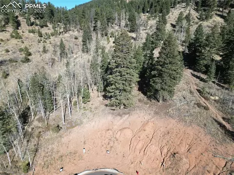 1380 Blue Haven Pl, Woodland Park, CO 80863