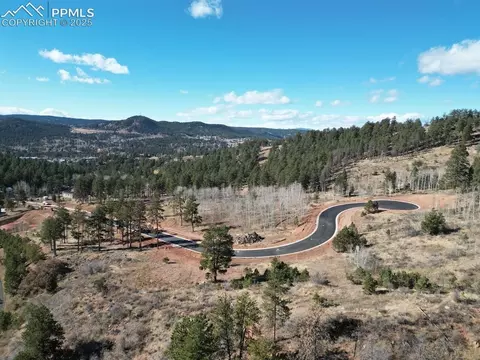 1380 Blue Haven Pl, Woodland Park, CO 80863