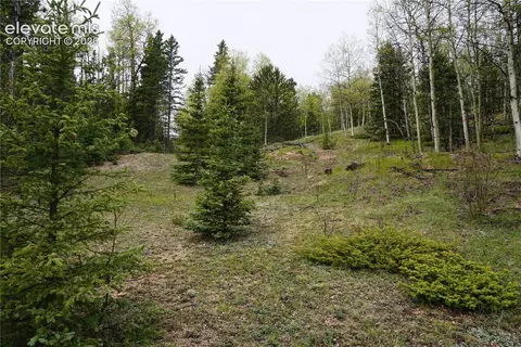 Vacant Land Na, Cripple Creek, CO 80813