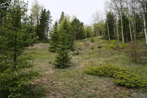 Vacant Land Na, Cripple Creek, CO 80813