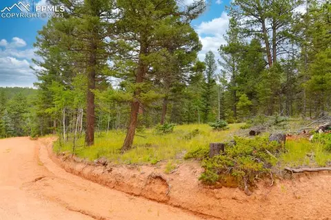 64 Handcart Cir, Florissant, CO 80816