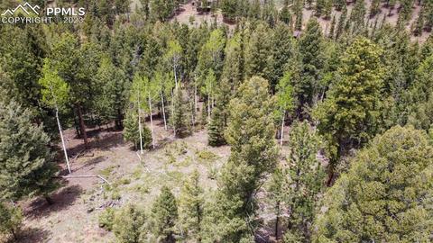 595 Ridge Rd, Divide, CO 80814 photo 2