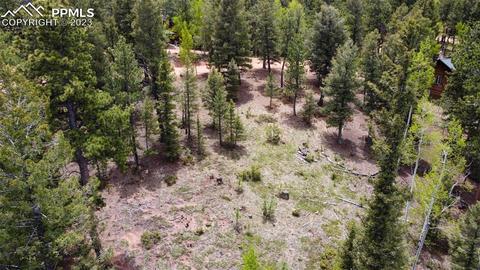 595 Ridge Rd, Divide, CO 80814 photo 7
