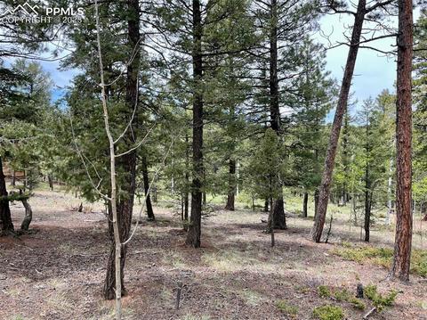 595 Ridge Rd, Divide, CO 80814 photo 8