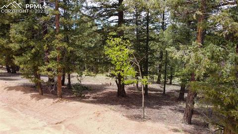 595 Ridge Rd, Divide, CO 80814 photo 5