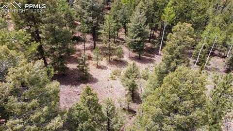 595 Ridge Rd, Divide, CO 80814 photo 4