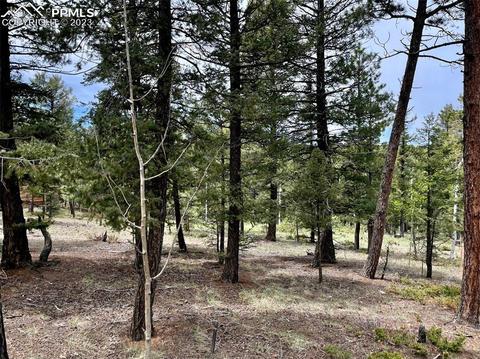 595 Ridge Rd, Divide, CO 80814 photo 12