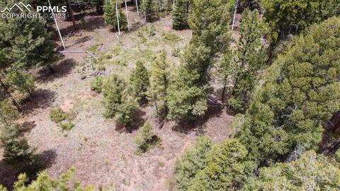 595 Ridge Rd, Divide, CO 80814 photo 3