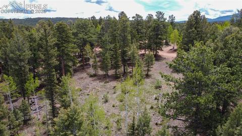 595 Ridge Rd, Divide, CO 80814 photo 6